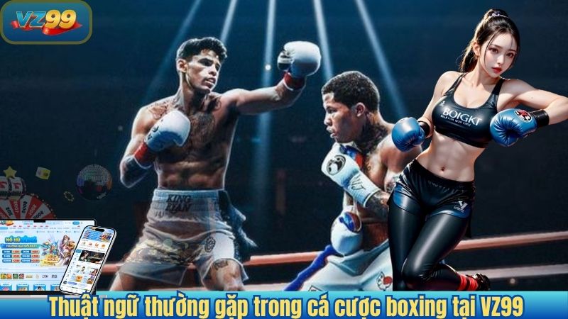 Thuật ngữ thường gặp trong cá cược boxing tại VZ99