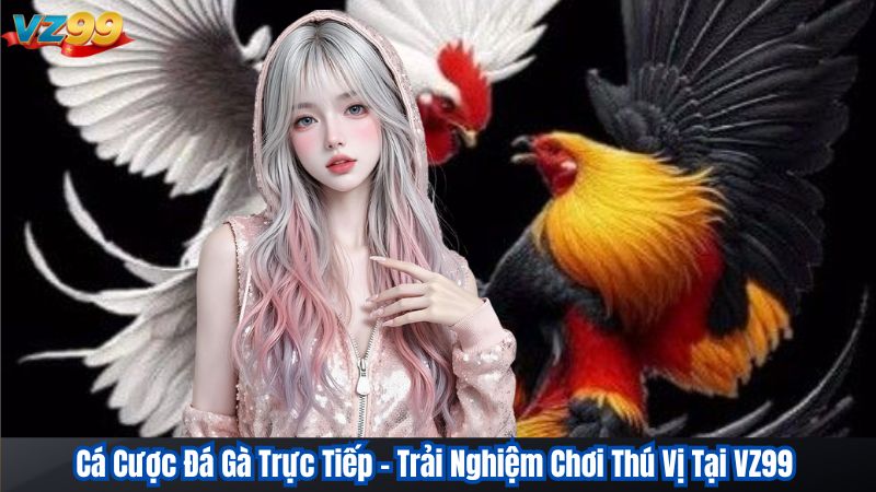 Cá Cược Đá Gà Trực Tiếp – Trải Nghiệm Chơi Thú Vị Tại VZ99 1 Cá Cược Đá Gà Trực Tiếp – Trải Nghiệm Chơi Thú Vị Tại VZ99