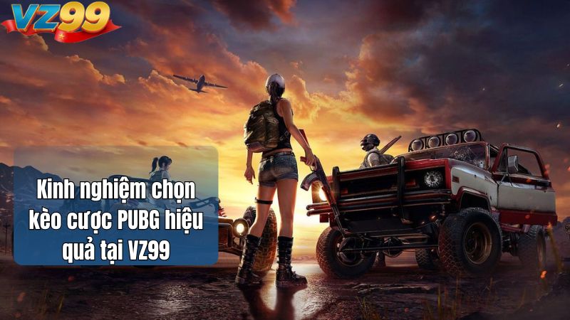 Kinh nghiệm chọn kèo cược PUBG hiệu quả tại VZ99